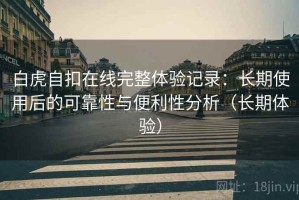白虎自扣在线完整体验记录：长期使用后的可靠性与便利性分析（长期体验）