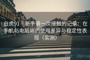 白虎91｜新手第一次接触的记录：在手机与电脑端的使用差异与稳定性表现（实测）