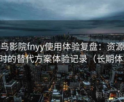 蜂鸟影院fnyy使用体验复盘：资源失效时的替代方案体验记录（长期体验）