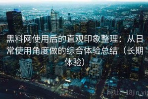 黑料网使用后的直观印象整理：从日常使用角度做的综合体验总结（长期体验）