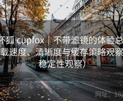 茶杯狐 cupfox｜不带滤镜的体验总结：加载速度、清晰度与缓存策略观察（稳定性观察）