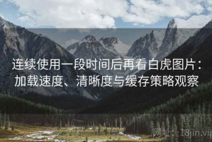 连续使用一段时间后再看白虎图片：加载速度、清晰度与缓存策略观察