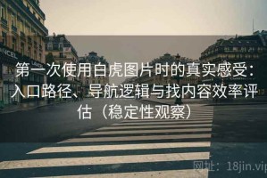 第一次使用白虎图片时的真实感受：入口路径、导航逻辑与找内容效率评估（稳定性观察）