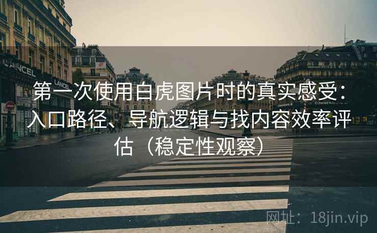 第一次使用白虎图片时的真实感受：入口路径、导航逻辑与找内容效率评估（稳定性观察）