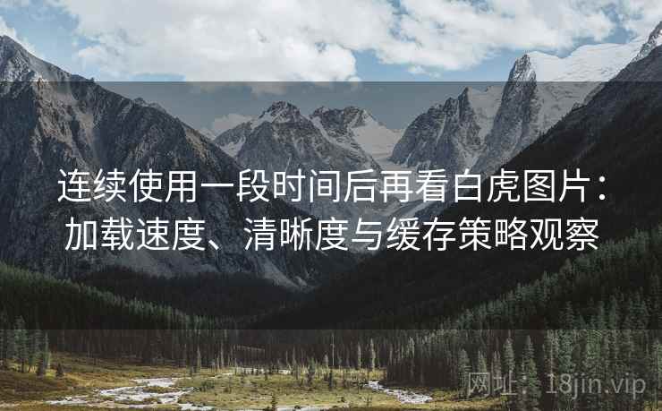连续使用一段时间后再看白虎图片:加载速度、清晰度与缓存策略观察 连续使用一段时间后再看白虎图片:加载速度、清晰度与缓存策略观察